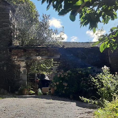 Le Petit Nid Bed & Breakfast Sablieres Dış mekan fotoğraf