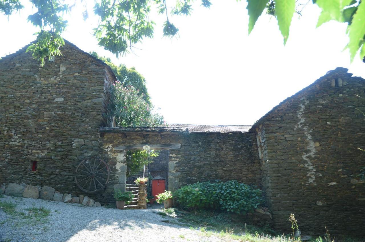 Le Petit Nid Bed & Breakfast Sablieres Dış mekan fotoğraf
