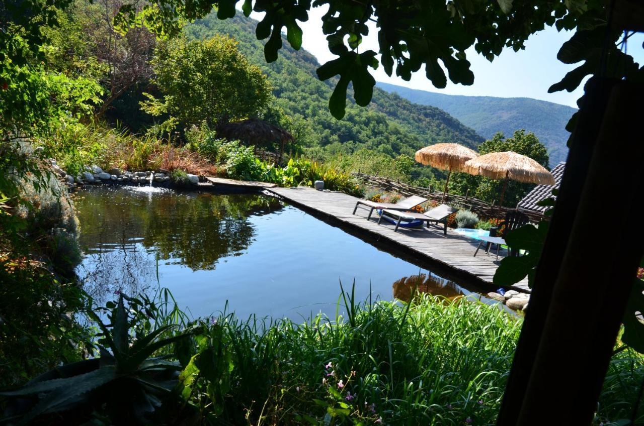 Le Petit Nid Bed & Breakfast Sablieres Dış mekan fotoğraf